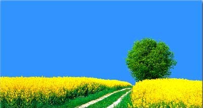 Landschaft in der Uckermark - Standort Paarberatung Silberstreif zwischen Templin, Angermünde und Prenzlau